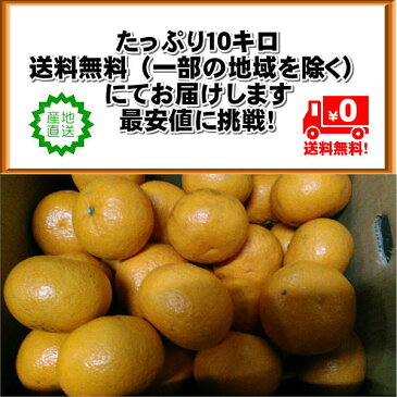 甘夏　訳あり　熊本産　1箱10kg【送料無料】一部の地域を除く　あまなつ　アマナツ　紅甘夏　夏みかん　夏ミカン