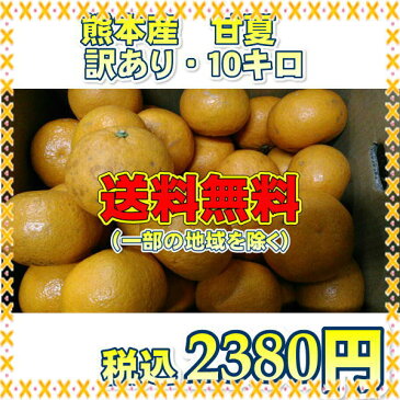 甘夏 訳あり 熊本産 1箱10kg【送料無料】一部の地域を除く あまなつ アマナツ 紅甘夏 夏みかん 夏ミカン