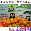 小玉ちゃん 熊本みかん 訳あり 1箱5キ...