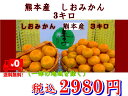みかん(しおみかん) 味に自信!! 熊本...