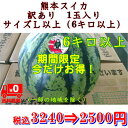 熊本産 スイカ 訳あり 1玉入り サイズ...