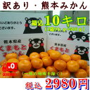 【エントリーで10倍】みかん 熊本産 訳...