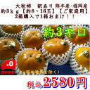 柿 訳あり【大秋柿】1箱(約3kg)約8〜16玉2箱購入で1箱おまけ!送料無料(一部の地域を除く)