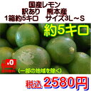 国産レモン 訳あり 熊本産 1箱5kg【送料無料】一部の地域を除く