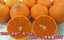 【エントリーで5倍】柑橘の大トロ! せと...