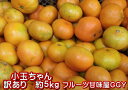 小玉ちゃん 熊本みかん 訳あり 1箱5k...