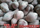 【大赤字企画!】本場の味!種子島産 安納...