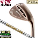 2021年モデル Taylormade テーラーメイド ゴルフ HI-TOE RAW WEDGE ハイ・トウ ロウ ウェッジ DynamicGold ダイナミックゴールド