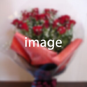 【あす楽対応_北海道】　おまかせ花束15,750円