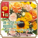 ★楽天1位★フラワー《おまかせアレンジメント&花束S 3500円》 アレンジメント ギフト 誕生日 即日発送 プレゼント 花 送料無料 結婚式 あす楽 スイーツメッセージカード付き オーダー 生花 お中元 送別 退職 【あす楽_土曜営業】【楽ギフ_メッセ】【RCP】