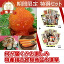 【ふるさと納税】函館特産品詰合せ『ホタテ貝柱+味付数の子+い...