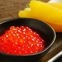 【ふるさと納税】<鮭匠ふじい>いくら120g・数の子240g...