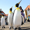 【ふるさと納税】登別マリンパークニクス入園券とレストラン・売...