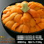 【ふるさと納税】極上エゾバフンウニ折詰200g・塩水パック200g食べ比べセット 【生うに 海鮮 バフンウニ 折うに 塩水】 お届け:A:2022年4〜5月下旬迄・B:6〜8月中旬迄・C:10月下旬〜11月下旬迄 53,000円