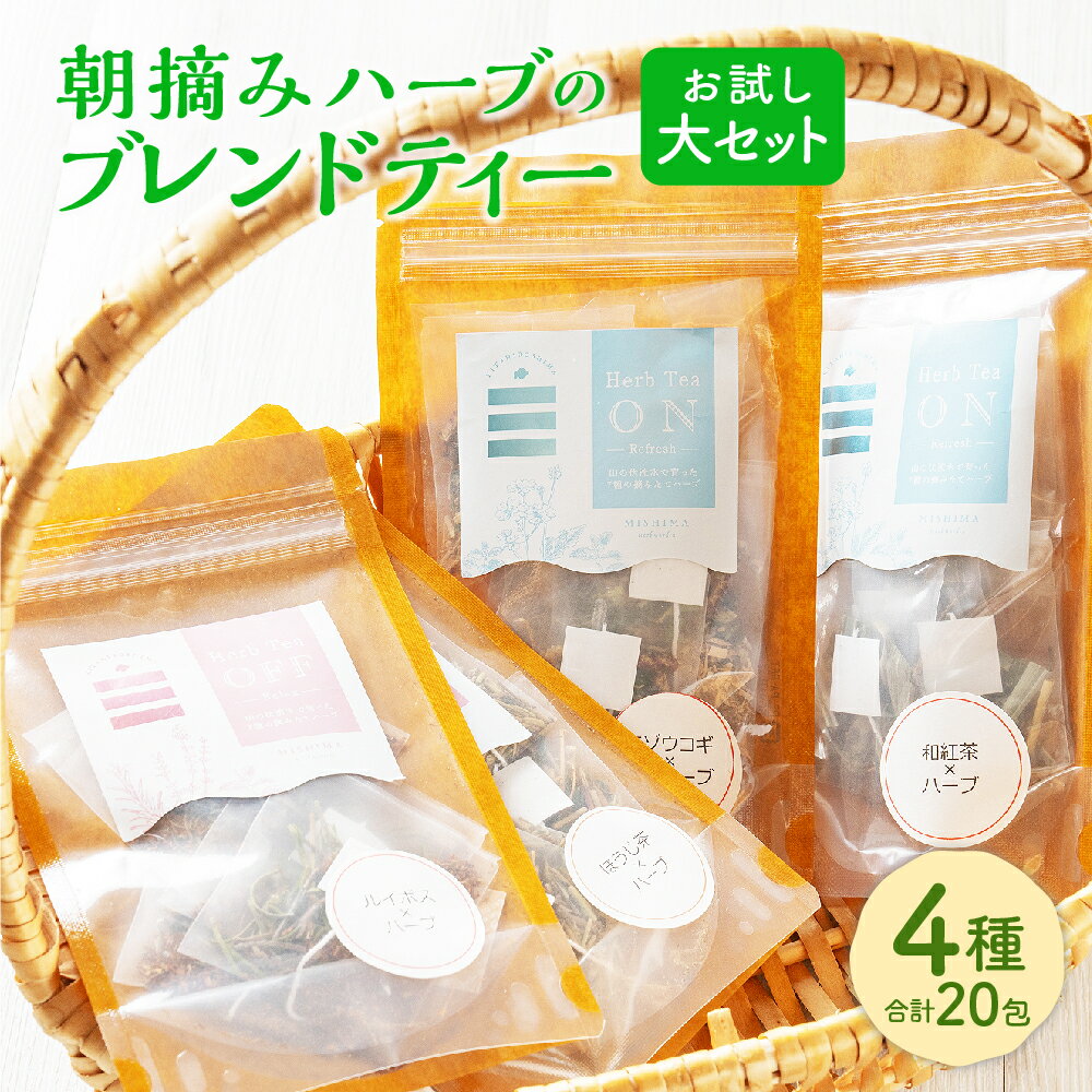 【ふるさと納税】朝摘みハーブのブレンドティー お試し大セット 和紅茶 ほうじ茶 エゾウコギ ルイボス ハーブ お茶 ティーバッグ ルイボスティー ルイボス茶 有機 ハッカ 薄荷 ギフト プレゼント セット 国産 常温 北海道 北広島市加工 送料無料