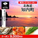 【ふるさと納税】北海道知内町の対象施設で使える楽天トラベルクーポン 寄付額30,000円 体験【RTC003】
