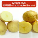 【ふるさと納税】【2019年発送】道塚農園のじゃがいも食べ比...