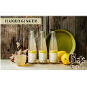 【ふるさと納税】自家製ジンジャービア【HAKKO GINGER】6本セット ビール 地ビール BEER 【野菜飲料・野菜ジュース・飲料類・炭酸飲料】