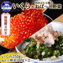 【ふるさと納税】無地熨斗 北海道産 いくら醤油漬け ねばっと野菜 おかず 冷凍 計3個 セット イクラ 魚卵 オクラ モロヘイヤ 山芋 めかぶ ねばねば 野菜 おつまみ 酒の肴 簡単 ご飯のお供 お取り寄せ 【 魚卵 】
