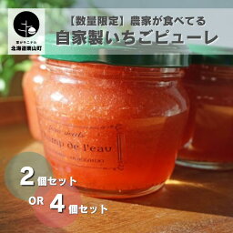 【ふるさと納税】【数量限定】 北海道の農家が食べてる自家製いちごピューレ《2個セット・4個セット》