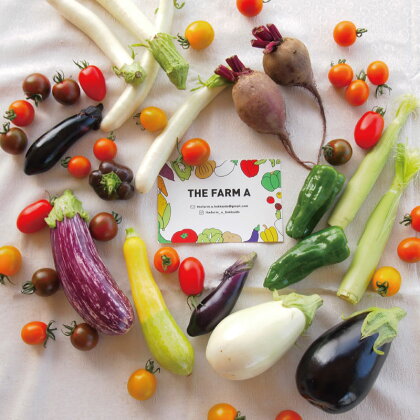 野菜セット 無農薬 無化学肥料 野菜詰め合わせ 北海道 当麻町 THE FARM A お取り寄せ 送料無料