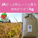 【ふるさと納税】JAぴっぷ町 ゆめぴりか 精米5kg