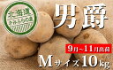 【ふるさと納税】新じゃがいも【男爵】約10kg≪北海道上富良...