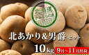 【ふるさと納税】新じゃがいも2種食べ比べセット約10kg≪北...
