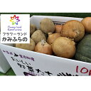 【ふるさと納税】かみふらの産秋野菜(じゃがいも・玉葱・かぼち...