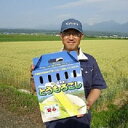 【ふるさと納税】しあわせの黄色いコーンバイカラー
