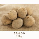 【ふるさと納税】北海道 美深町産 じゃがいも10kg(きたあ...
