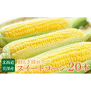【ふるさと納税】北海道 美深町産 スイートコーン20本 【野...
