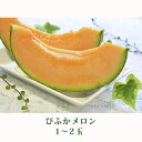 【ふるさと納税】北海道 美深町産 びふかメロン 1〜2玉 【...