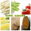 【ふるさと納税】北海道美深町 旬の野菜 年6回定期便 【定期...