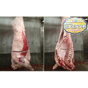 【ふるさと納税】北海道美深産 エアリアルビーフ 1頭分フルセット 約300kg 【牛肉・サーロイン・お肉・牛肉・ヒレ・お肉・牛肉】