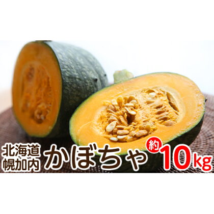 北海道幌加内産かぼちゃ約10kg　【野菜・じゃがいも】　お届け：2022年10月初旬〜2022年11月中旬