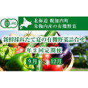 【ふるさと納税】新鮮採れたて旬の有機野菜詰合せ 年2回定期便(9月・12月) 北海道幌加内町朱鞠内 【定期便・野菜・セット・詰合せ・玉ねぎ・じゃがいも】 お届け:2020年9月初旬~2020年12月下旬まで
