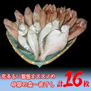 【ふるさと納税】季節の魚一夜干しセット