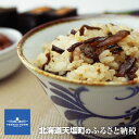 【ふるさと納税】いつでも手軽に「しじみと山菜の混ぜご飯の素」...