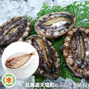 【ふるさと納税】韓国産 冷凍アワビ1kg あわび 鮑 アワビ...