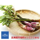 【ふるさと納税】2020年分予約開始★北海道の春山菜お任せセ...