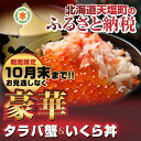 【ふるさと納税】【数量限定】特別企画☆豪華☆タラバ&いくら丼...