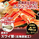 26日までのご注文で年内発送可能!!【ふるさと納税】北海道加...
