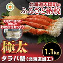26日までのご注文で...