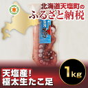 【ふるさと納税】北海道 天塩産!極太生 たこ足1kg(容量:...