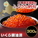 【ふるさと納税】天塩の國ブランド いくらの醤油漬300g 北...