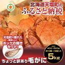 【ふるさと納税】【数量限定】ちょっと訳あり北海道産毛がに(容...