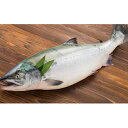 【ふるさと納税】北隆丸 新巻鮭(姿)約1.6kg 海産 サー...