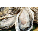 【ふるさと納税】湧別サロマ湖産かき【COYSTER(むき身)...