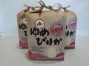 【ふるさと納税】ゆめぴりか15kg